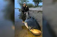 Гигантский сом из Припяти