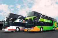 Двухэтажные туристические автобусы, иллюстративное фото

