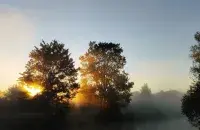 Природа Беларуси