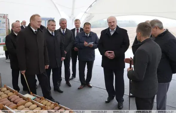 Лукашенко в Толочинском районе&nbsp;/ БЕЛТА