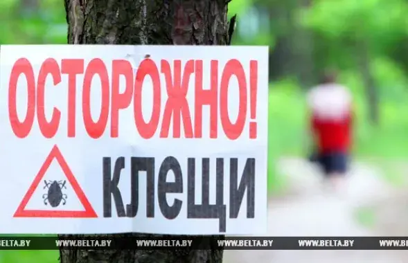 Фото: БЕЛТА