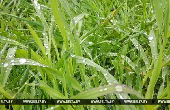 Фото: БЕЛТА