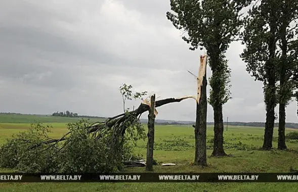 Фото: БЕЛТА