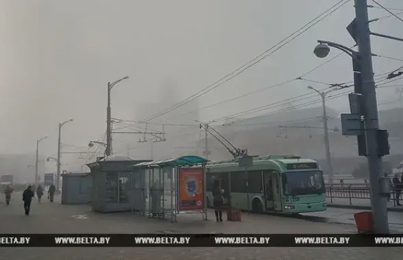 БЕЛТА
