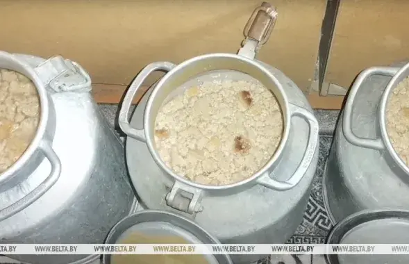 Брага в бидонах / Из архива МВД​