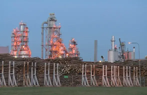 Закупка драўніны для IKEA у Беларусі / Беларусь 4