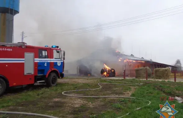 Фото: mchs.gov.by