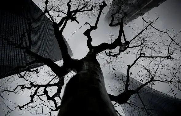 Снимок из архива. Фото: Reuters​