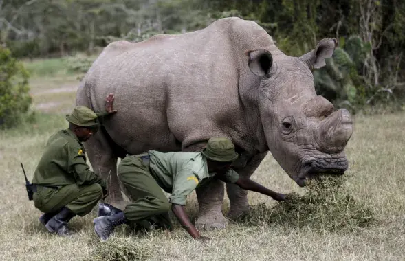 Фото: Reuters