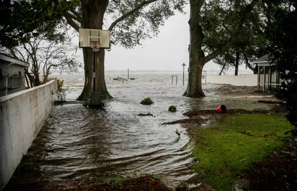 Фото: Reuters