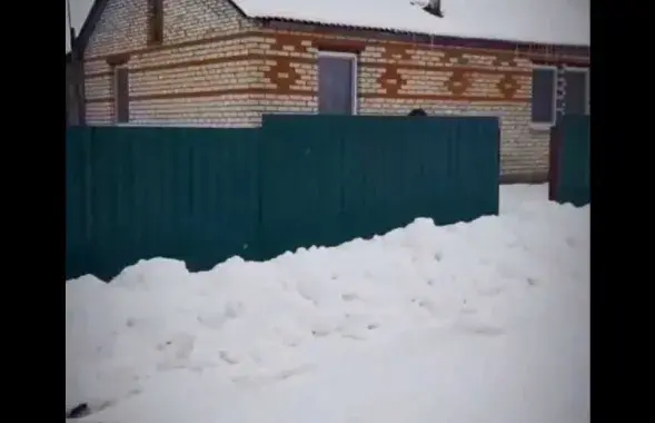 Дом, где жили Валентина В. и Мария К. Скриншот из видео Следственного комитета