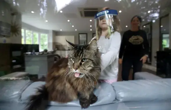 Учёные до сих пор мало знают о COVID-19 / Reuters