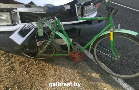 Фото: gaibrest.by