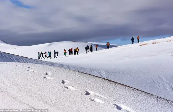 Снег в пустыне Сахара в Алжире. Фото: dailymail.co.uk
