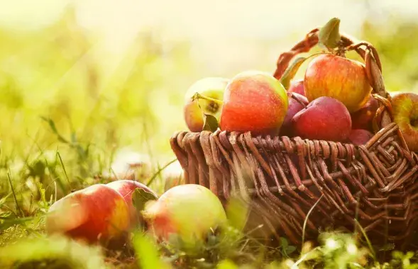 Фото: Fotolia