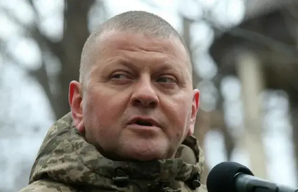 Валерый Залужны / УНІАН
