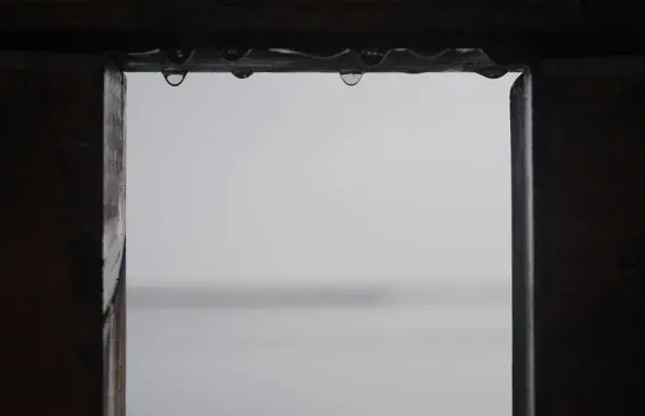 Фото: pixabay.com