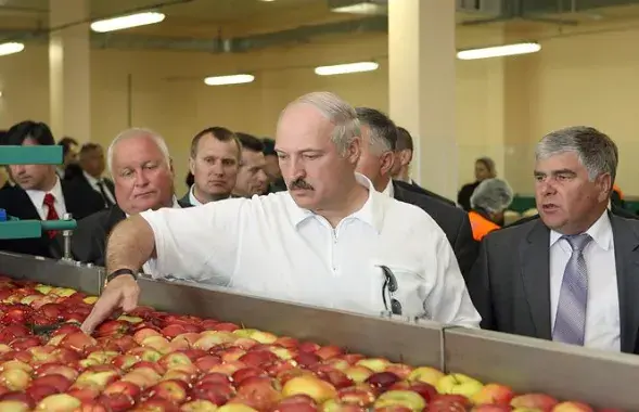 &nbsp;Александр Лукашенко в Александрии. Фото: president.gov.by