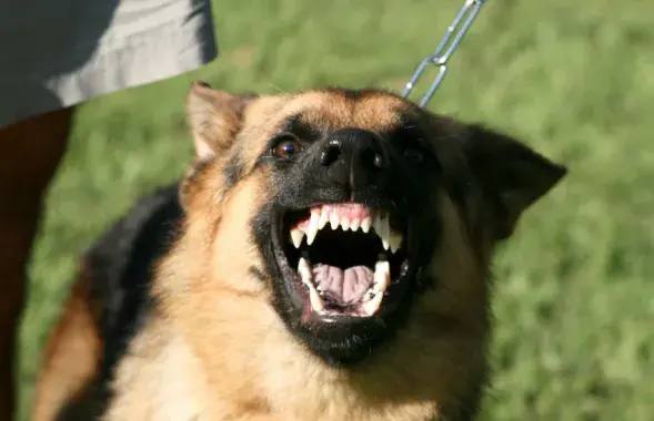 Снимок из архива.