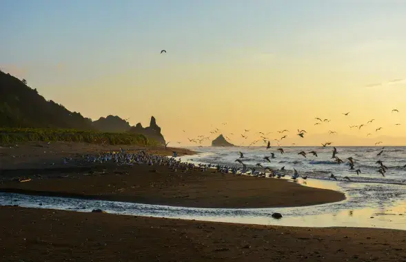 Борьба за острова получила новый импульс​ / pixabay.com