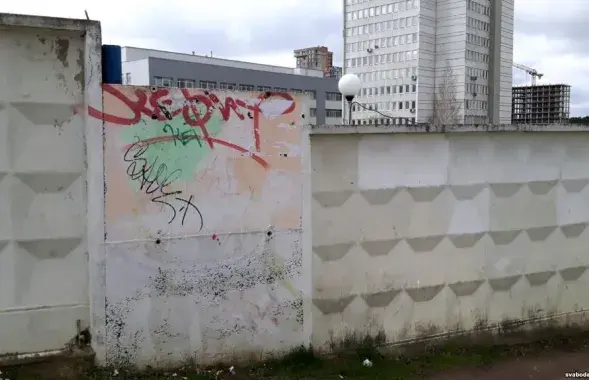 Фото: Социальные сети