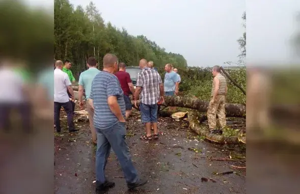 Смерч на трасе Мінск &mdash; Гродна. Наступствы / Еўрарадыё​