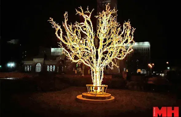 Дерево светится / minsknews.by​