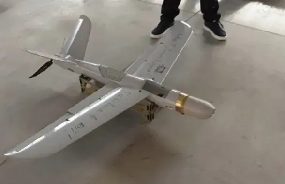 Беспилотник Warmate / Скриншот&nbsp;видео facebook.com/mykhailofedorov.com.ua​