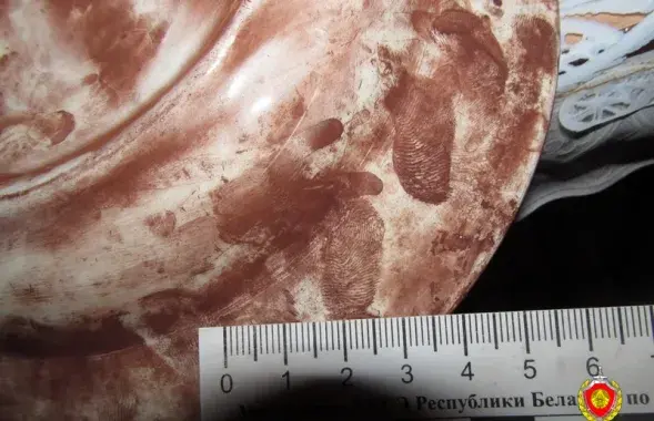 Фото: sudexpert.gov.by