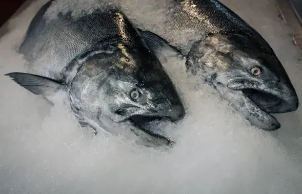 "5-6 кілаграмаў на чалавека" / Ілюстрацыйнае фота pixabay.com
