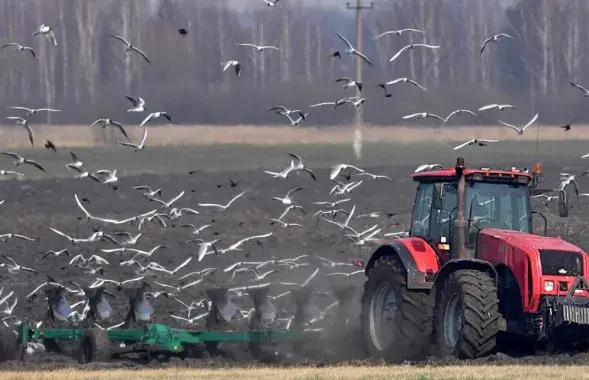 Гульні Лукашэнкі і Пуціна могуць скончыцца праблемамі ў сельскай гаспадарцы / Еўрарадыё
