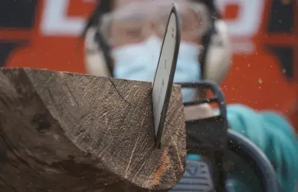 Самы вялікі прырост работнікаў у першым квартале быў у лесанарыхтоўцы / Reuters