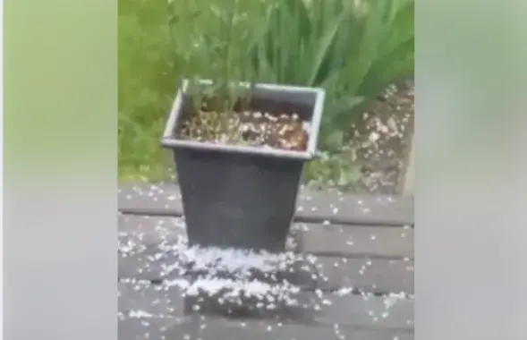 Кадр из видео​