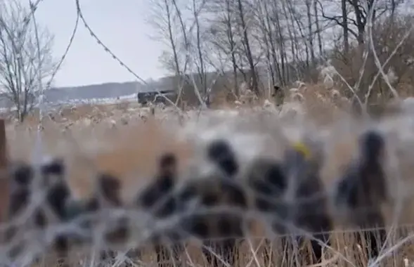 Скрыншот з відэа
