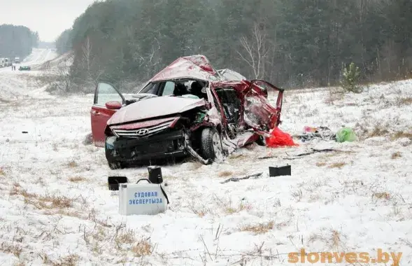 Фото: slonves.by