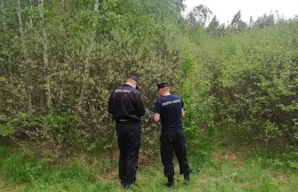 Следственный комитет