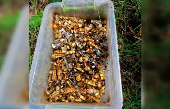 Знойдзеныя ў Песках-Радкоўскіх зубы / twitter.com/DefenceU
