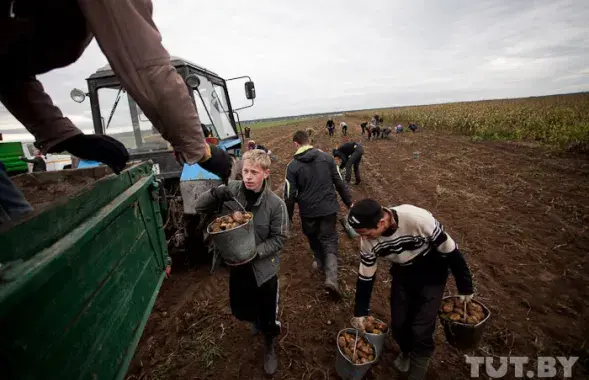 Інспекцыя працы адмовілася расследаваць смерць школьніцы ў Маладзечне