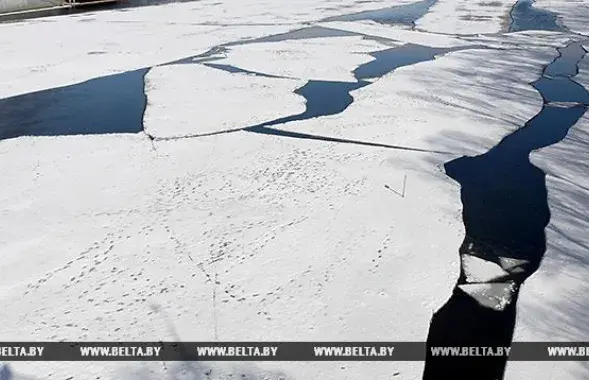 Фото: БЕЛТА