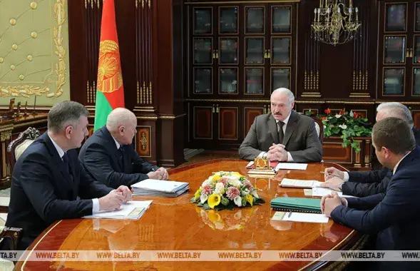 Совещание у Александра Лукашенко насчёт&nbsp;указа по лесному хозяйству / БЕЛТА​