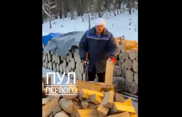 Александр Лукашенко и дрова / @pul_1