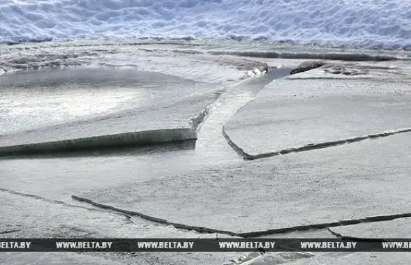 Фото: БЕЛТА