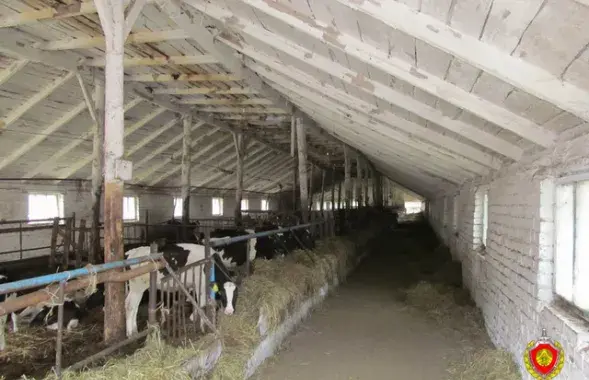 Фото: uvd-mo.gov.by