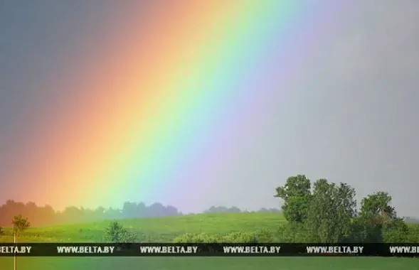 Фото: БЕЛТА