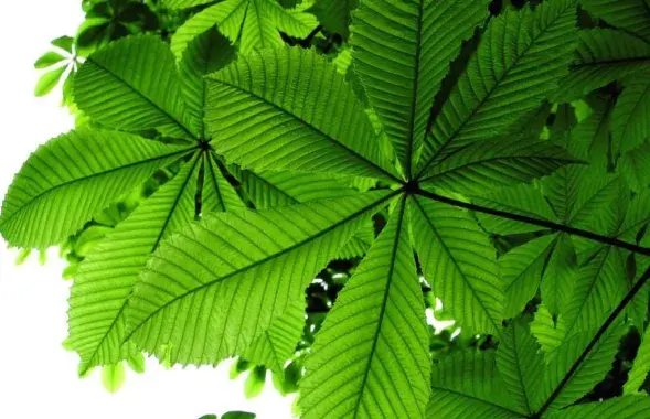 Фото: namonitore.ru