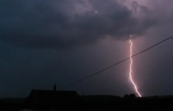 Фото: БЕЛТА
