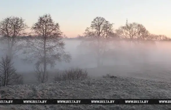 Nature in Belarus. Photo: BELTA