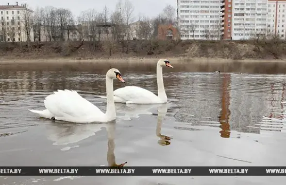 Фото: БЕЛТА
