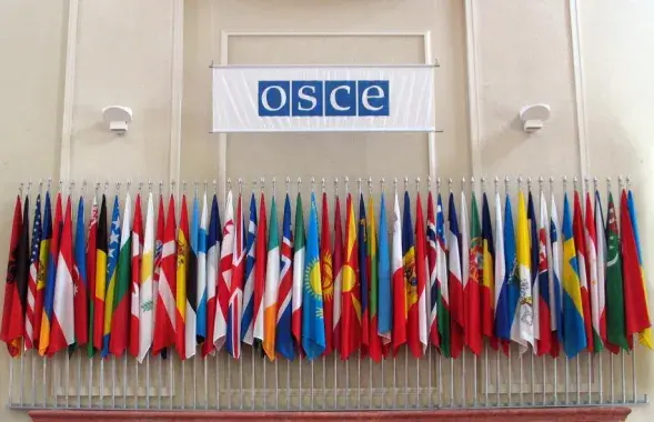 Заяву падпісалі прадстаўнікі 35 краін-удзельніц АБСЕ&nbsp; /&nbsp;osce.org