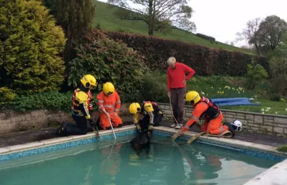 Фото: DWFRS/BNPS